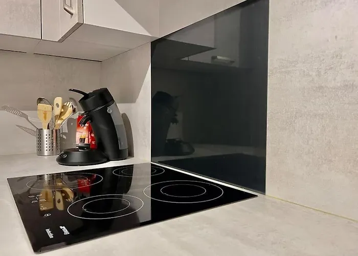 Duplex 70m2 - Vue Cite Medievale - Parking Gratuit Carcassonne